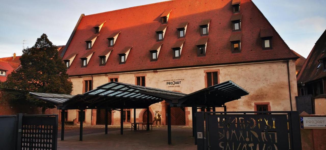Le Rhenanus Jean Geiler De Kaysersberg - Appartement Ideal Pour Famille, Au Calme - Centre Ville - Parking Gratuit Selestat Ngoại thất bức ảnh
