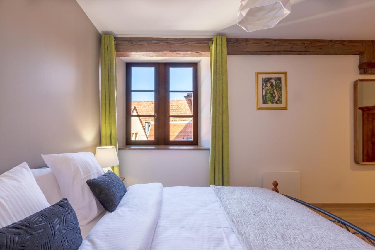 Le Rhenanus Jean Geiler De Kaysersberg - Appartement Ideal Pour Famille, Au Calme - Centre Ville - Parking Gratuit Selestat Ngoại thất bức ảnh