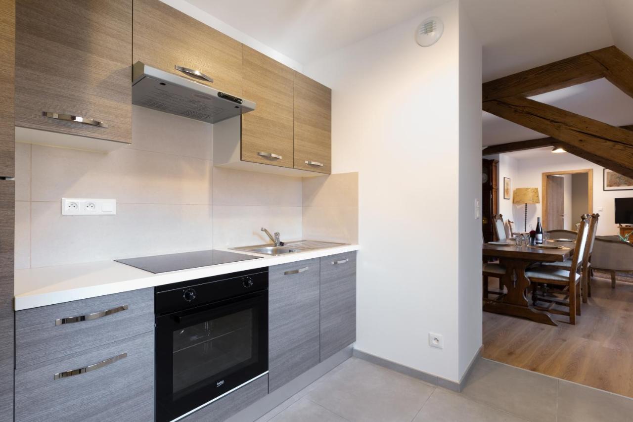 Le Rhenanus Jean Geiler De Kaysersberg - Appartement Ideal Pour Famille, Au Calme - Centre Ville - Parking Gratuit Selestat Ngoại thất bức ảnh