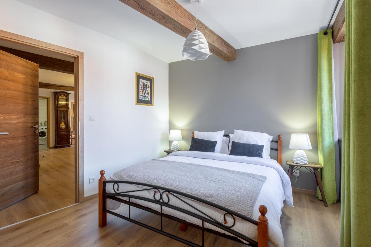 Le Rhenanus Jean Geiler De Kaysersberg - Appartement Ideal Pour Famille, Au Calme - Centre Ville - Parking Gratuit Selestat Ngoại thất bức ảnh