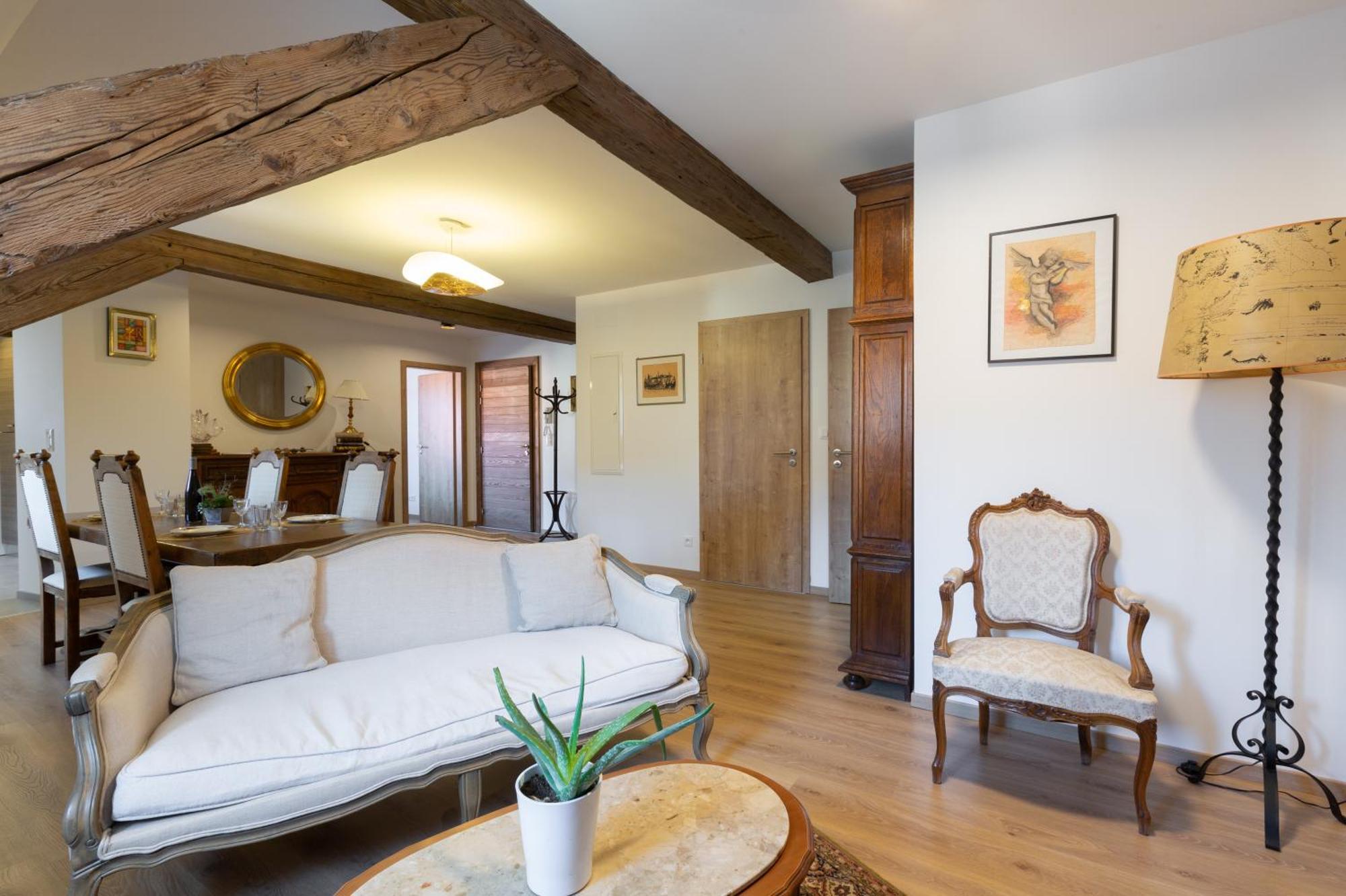 Le Rhenanus Jean Geiler De Kaysersberg - Appartement Ideal Pour Famille, Au Calme - Centre Ville - Parking Gratuit Selestat Ngoại thất bức ảnh